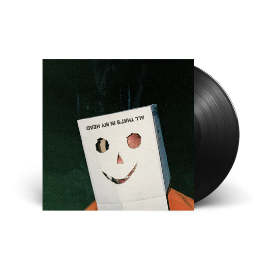 The Vanns - All that's in my head - Vinyl LP