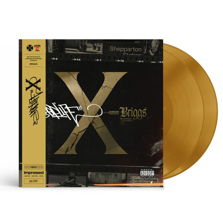 Briggs - Sheplife - Double Gold Vinyl LP