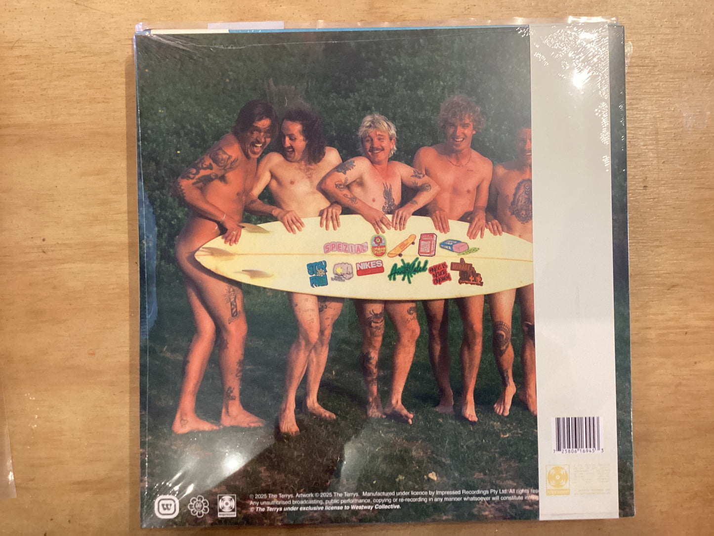 The Terrys - the Terrys - LP