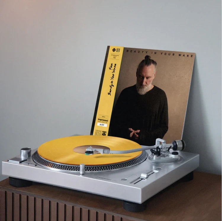 Fink - Beauty in your wake - Vinyl LP