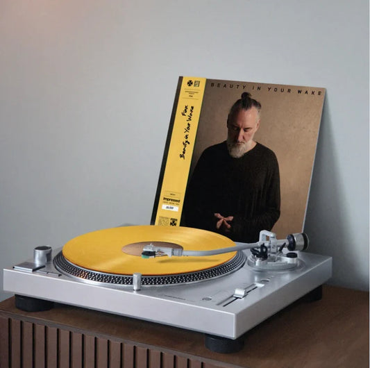 Fink - Beauty in your wake - Vinyl LP