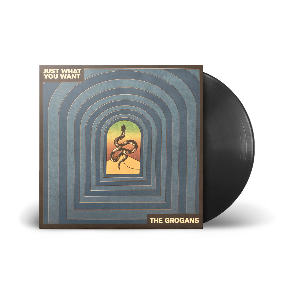 The Grogans - Just What You Want - Vinyl LP