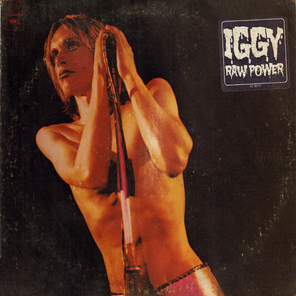 The Stooges - Raw Power - LP, Album; Vinyl, LP, Album; All Media, Reissue, Remastered, Repress, Special Edition, Stereo, 180g, Gatefold - Image 1