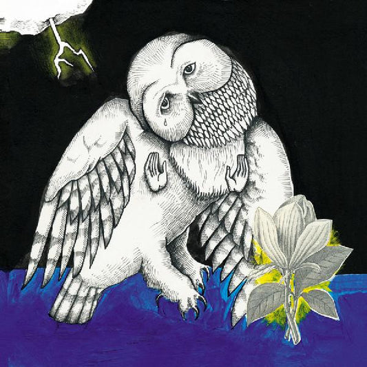 Songs: Ohia - The Magnolia Electric Co - LP, Album, Blue Swirl; Vinyl, LP, Blue Swirl; All Media, Deluxe Edition, Limited Edition, Reissue, Repress - Image 1