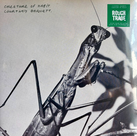 Courtney Barnett - Creature Of Habit - LP, Album, Another Beautiful Day Caramel - Image 1