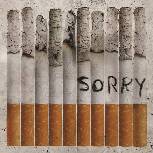 Totally Unicorn - Sorry - LP, Album, Limited Edition, Stereo - Image 1