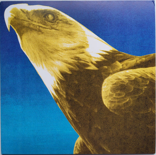 Protomartyr - Hotel Usona - LP, Album, Limited Edition, Gold - Image 1