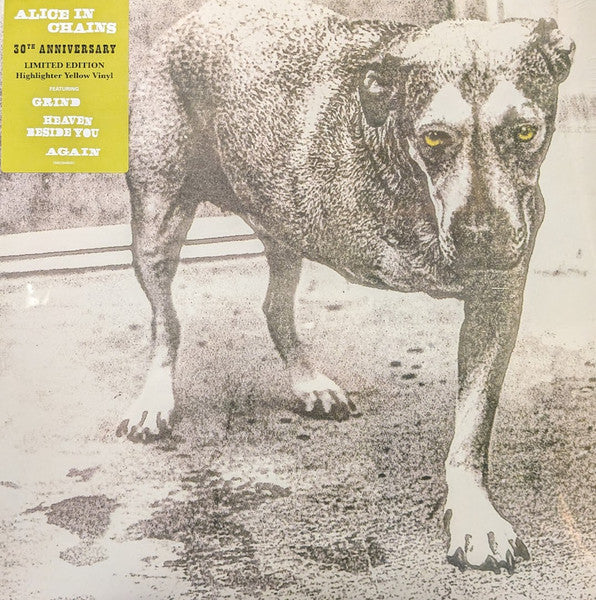 Alice In Chains - Alice In Chains - LP, Album, Limited Edition, Reissue, Stereo, Yellow [Highlighter], 30th Anniversary - Image 1