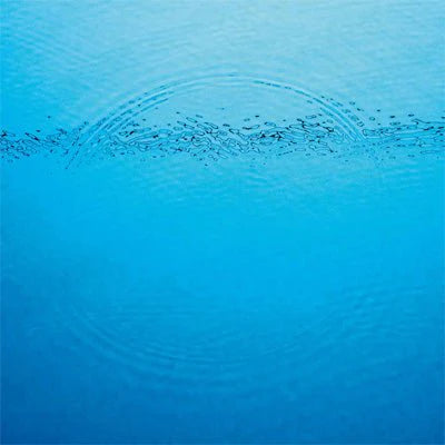 Caribou - Suddenly - Vinyl LP