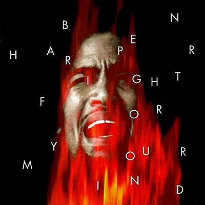 Ben Harper - Fight for your Mind - Double Vinyl LP