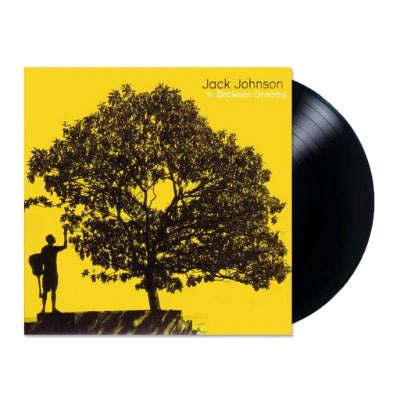 Jack Johnson - In Between Dreams - Vinyl LP