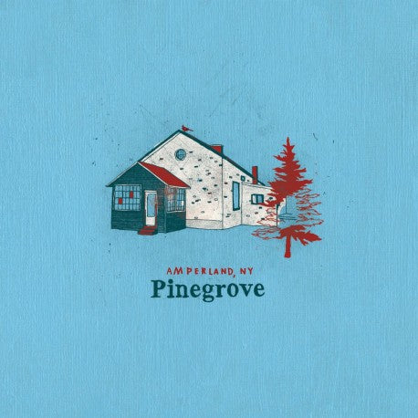 Pinegrove - Amperland, NY - Double Vinyl LP