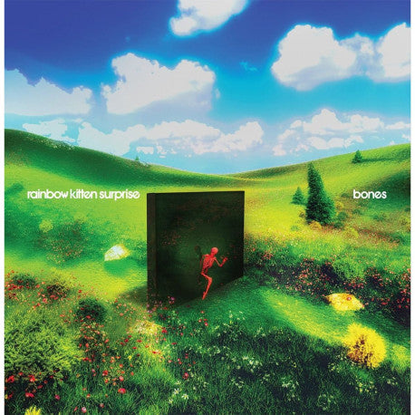 Rainbow Kitten Surprise - Bones - Vinyl Lp