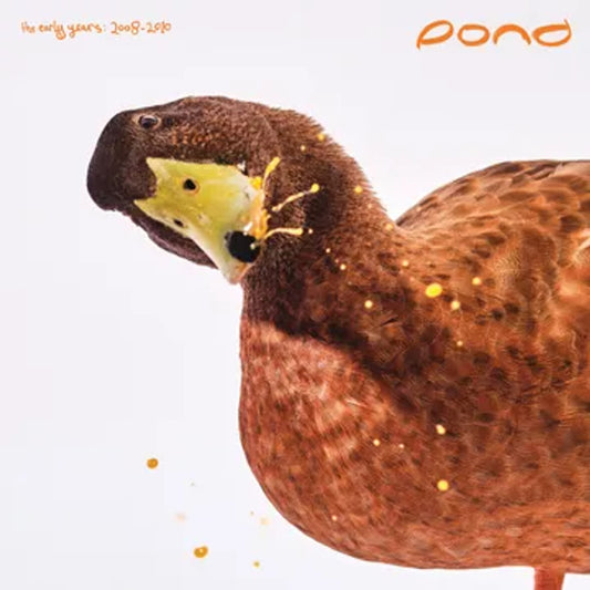 Pond - Early Years 2008 - 2010 - Vinyl LP