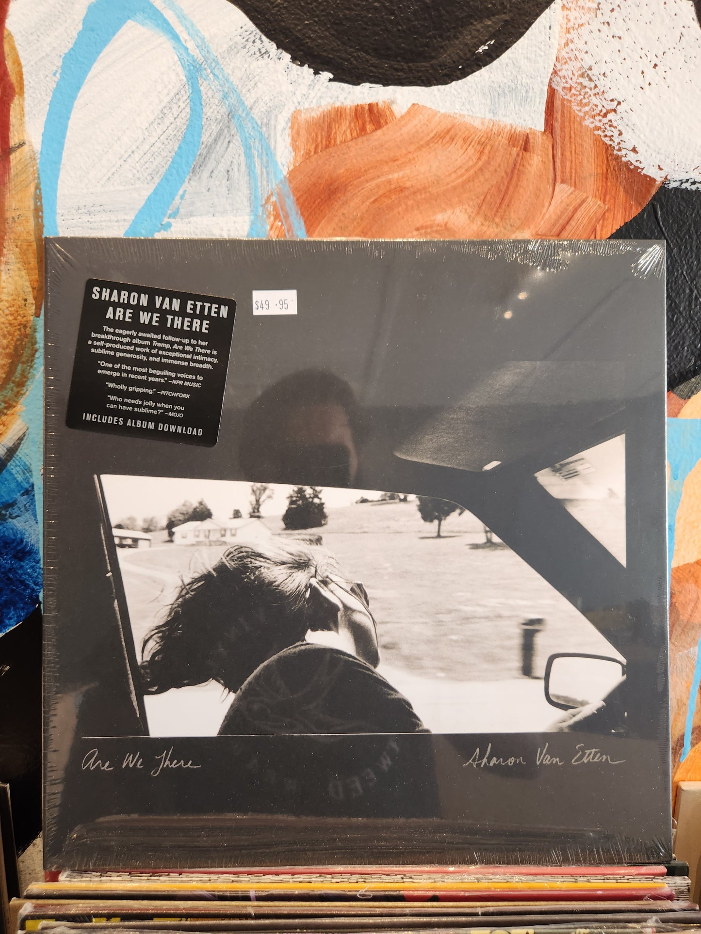 Sharon Van Etten - Are we there? - Vinyl LP