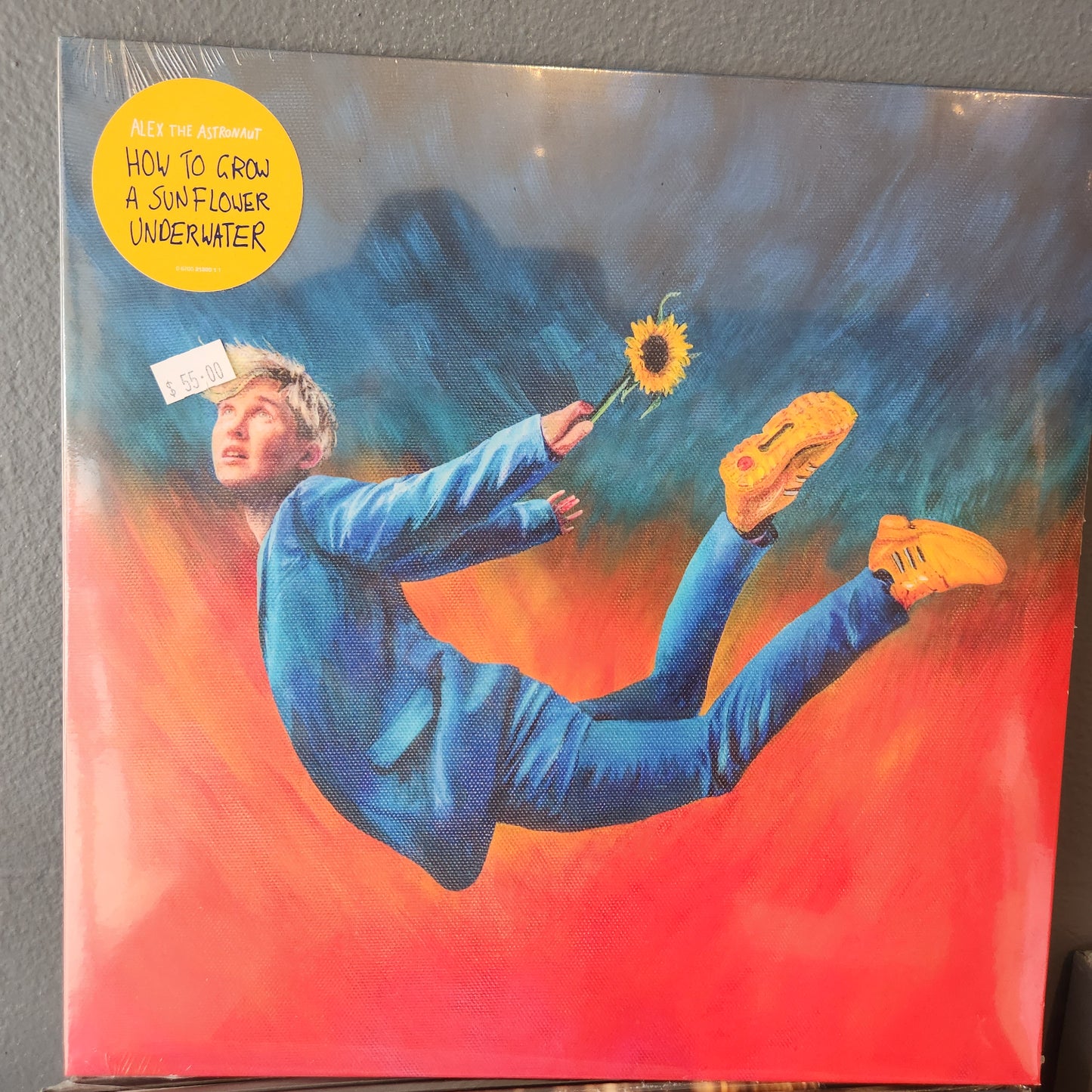 Alex the Astronaut - How to Grow a Sunflower Underwater - Vinyl LP