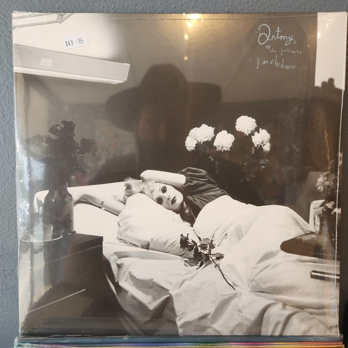 Antony & The Johnsons - I am A Bird Now - Vinyl LP