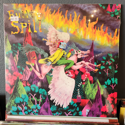 Built to Spill - When the wind forgets your name - Vinyl LP