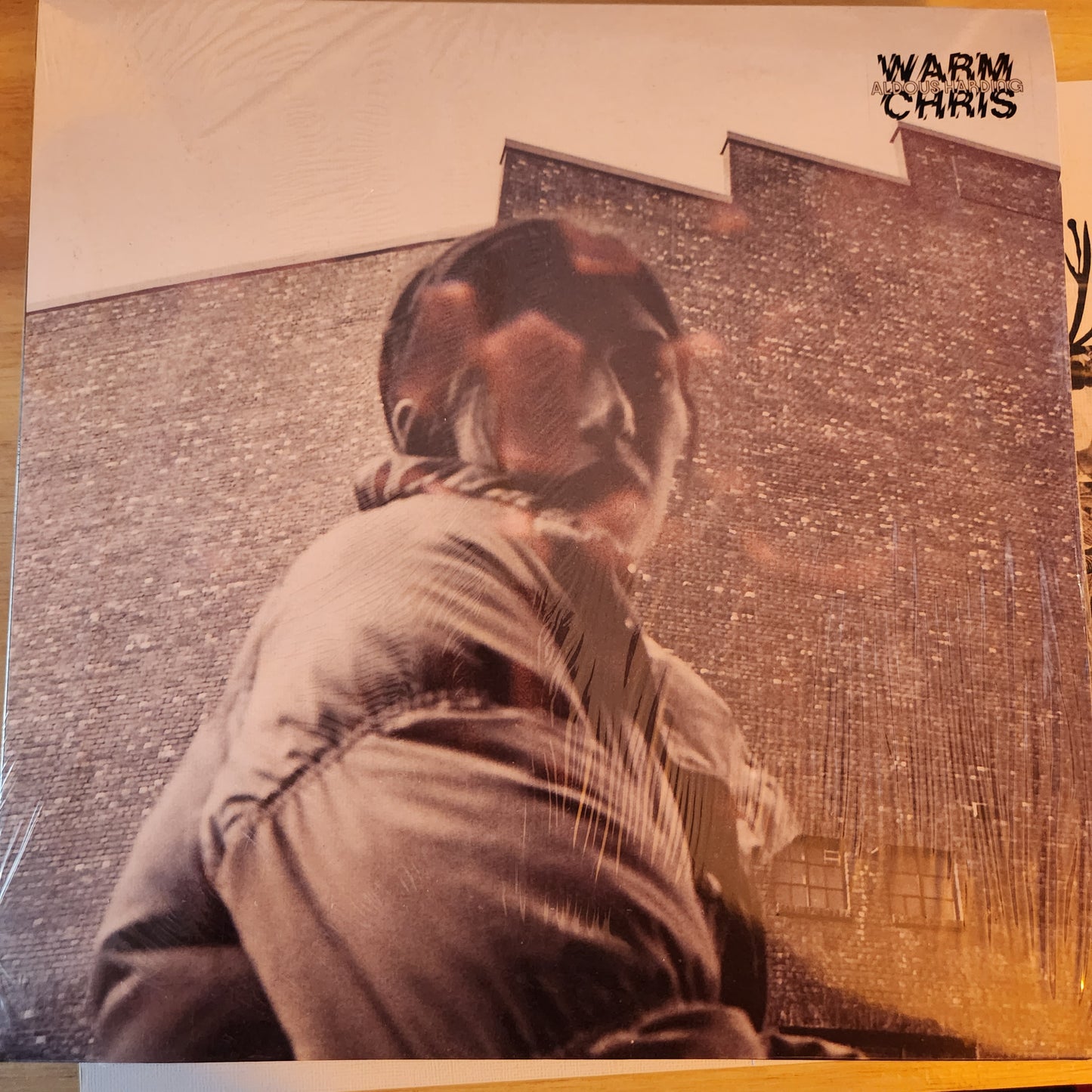 Aldous Harding - Warm Chris - Vinyl LP