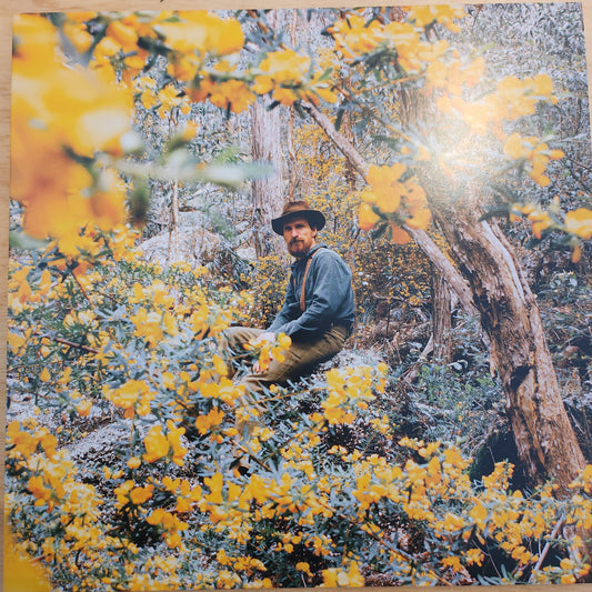 JB Paterson - Springtime is Coming - Vinyl LP