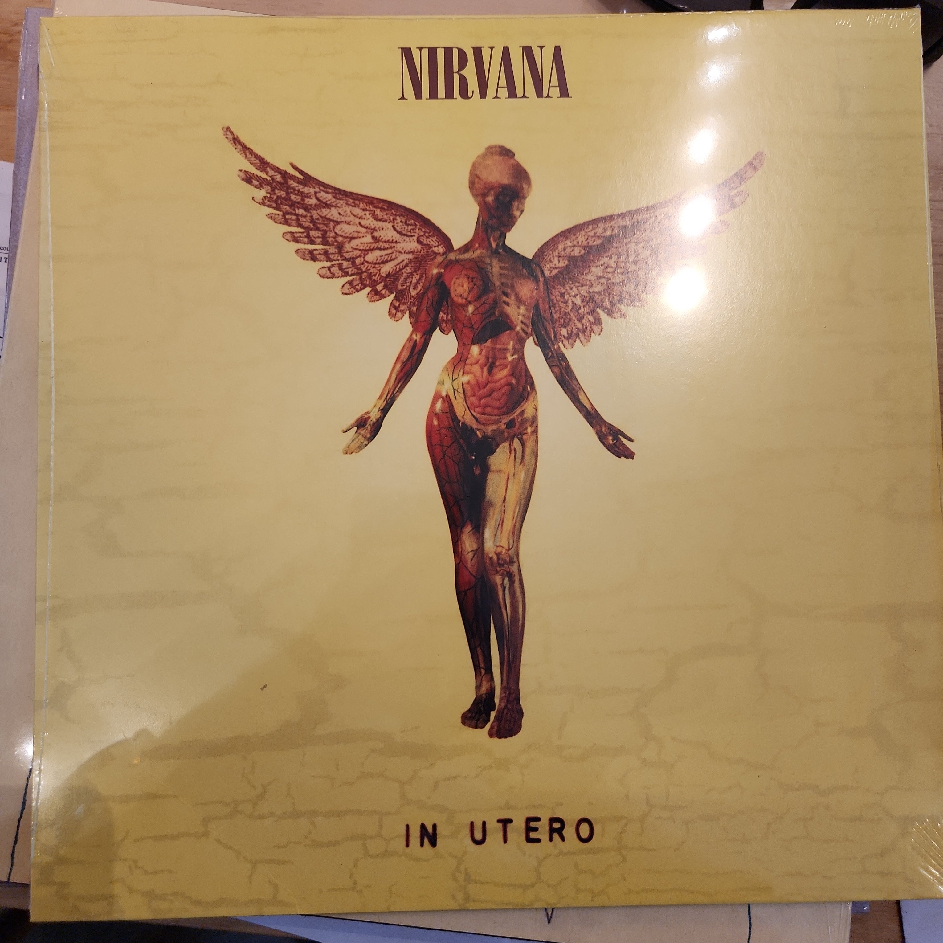 Nirvana in utero vinyl – Badlandsvinyl