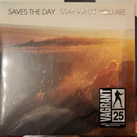 Saves the Day - Stay what you are -  Double 10" Vinyl LP