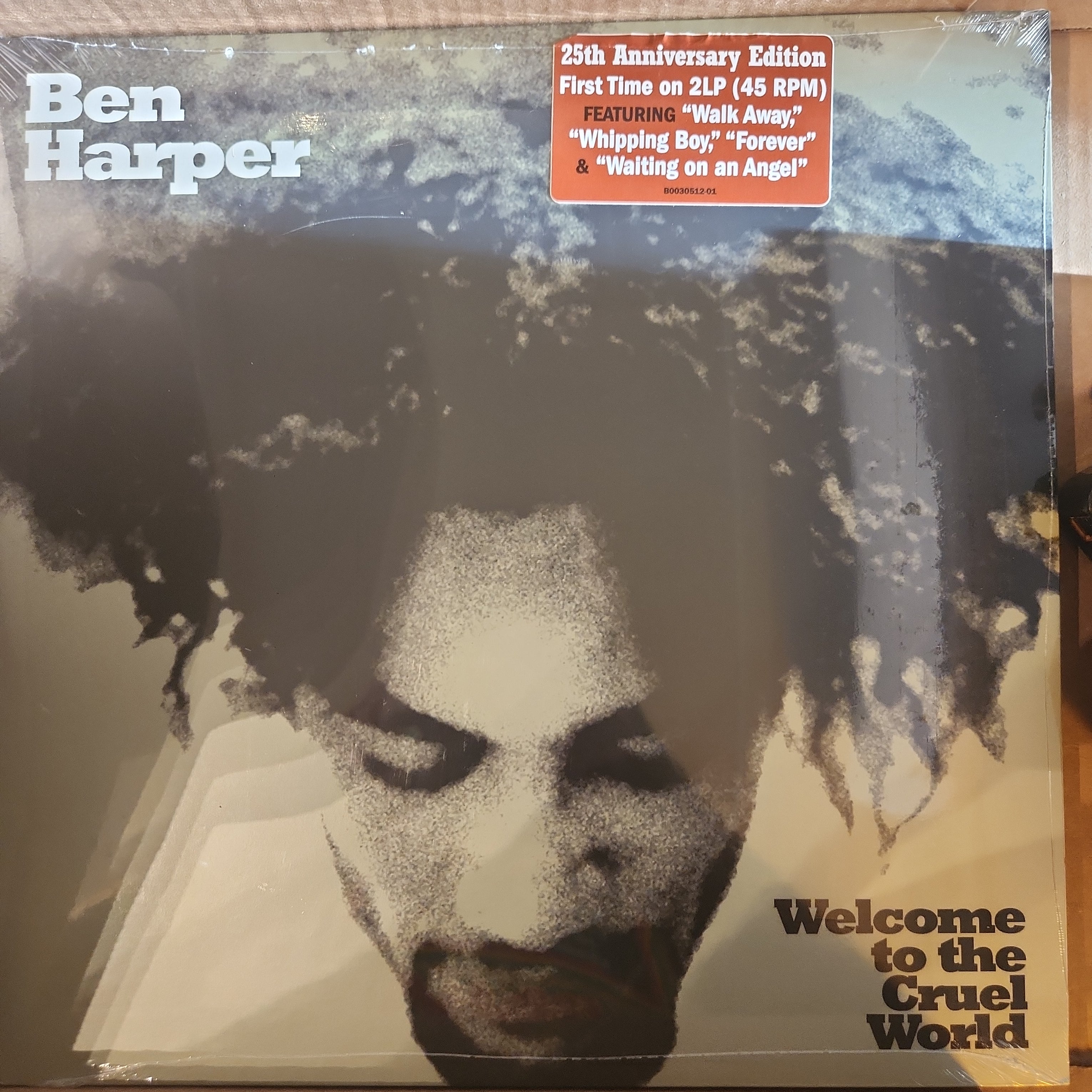 Ben Harper Welcome to the Cruel World Vinyl LP – Badlandsvinyl