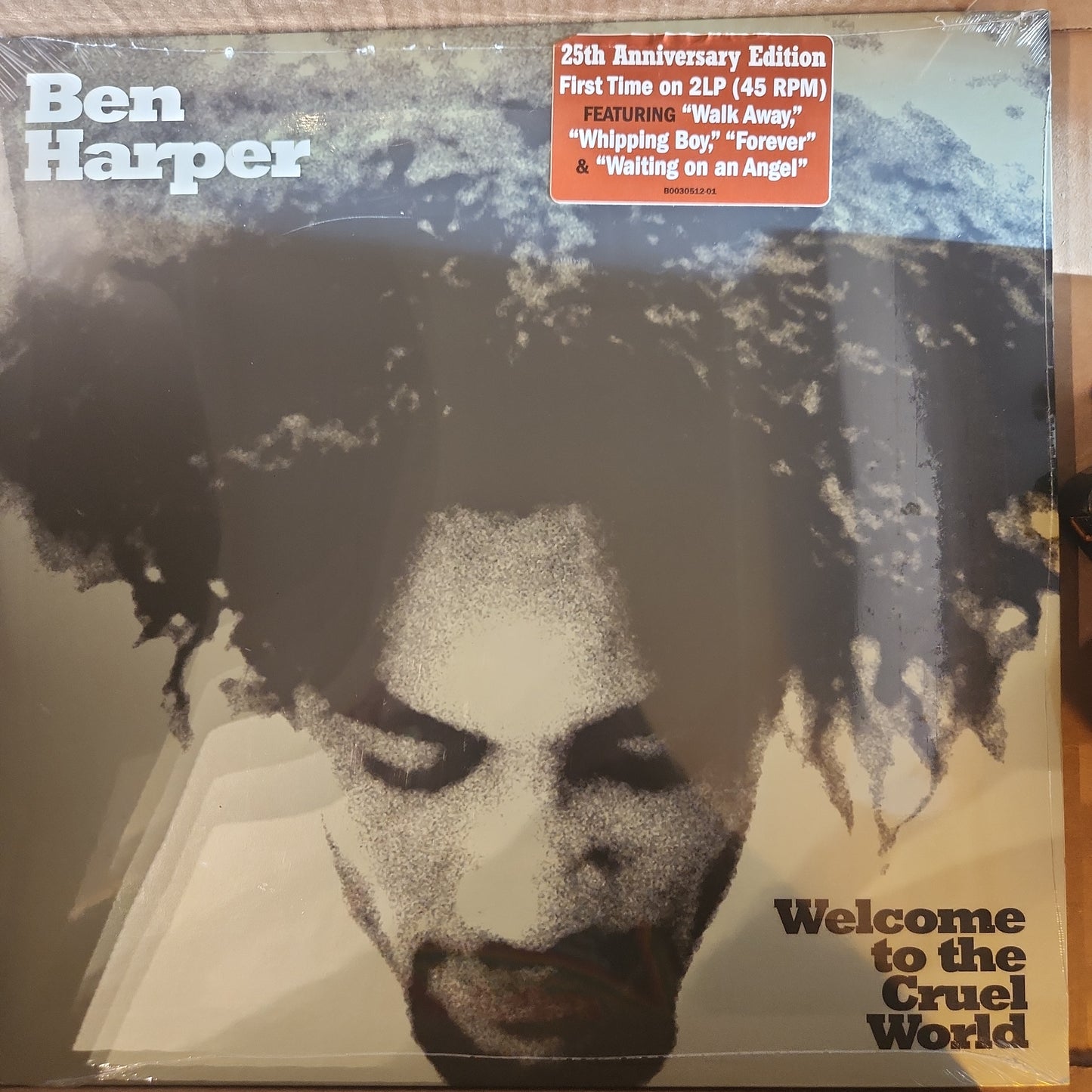 Ben Harper - Welcome to the Cruel World - Vinyl LP
