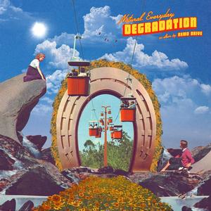 Remo Drive - Natural, Everyday Degradation - Vinyl LP